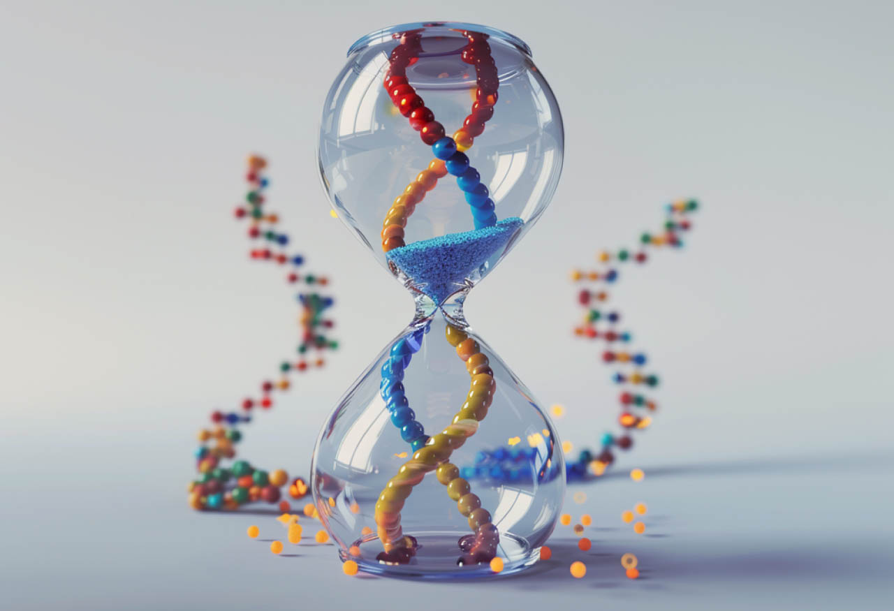 Nature of epigenetic aging from a single-cell perspective